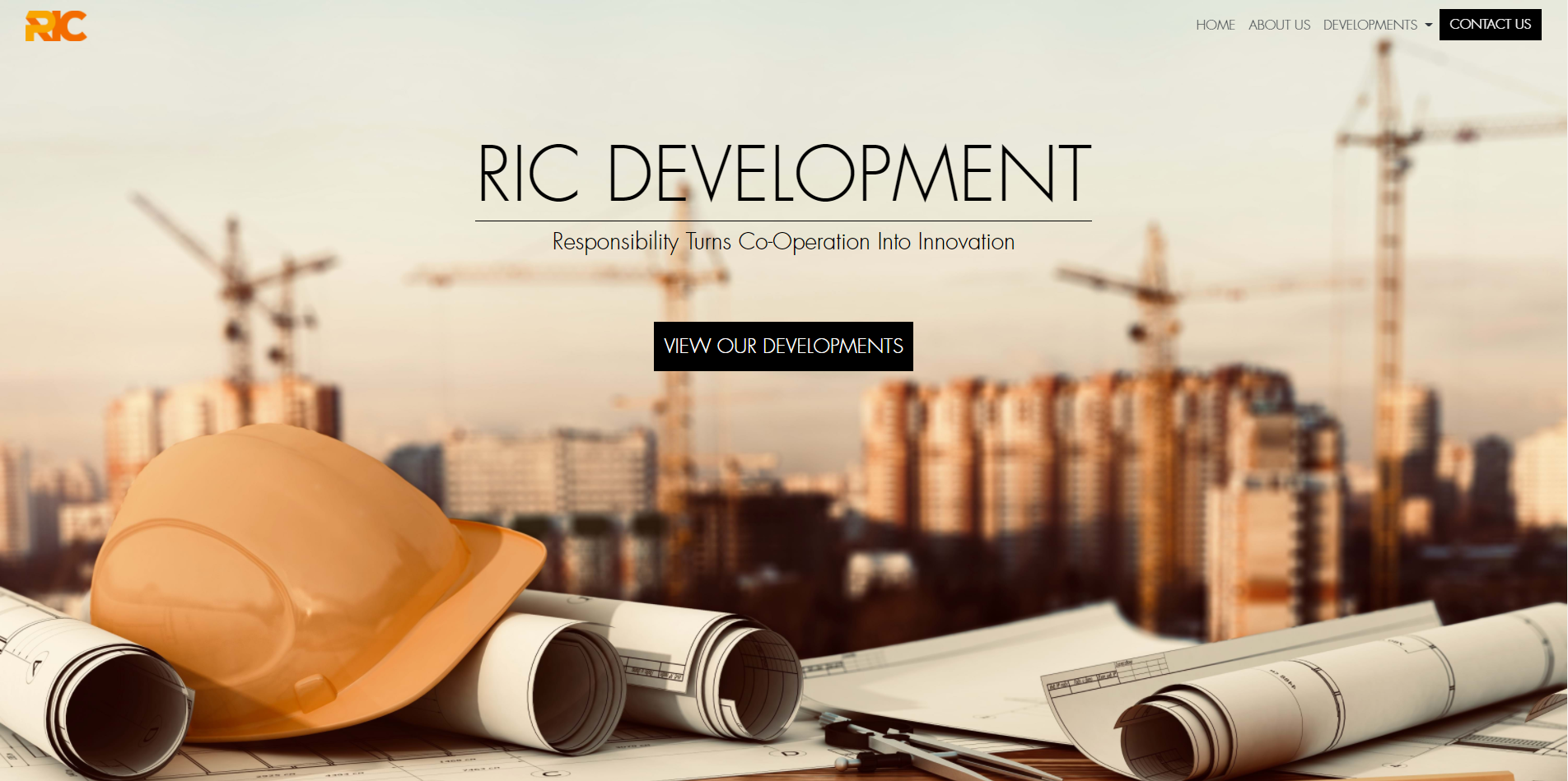 Picture of Ric Development Logo
